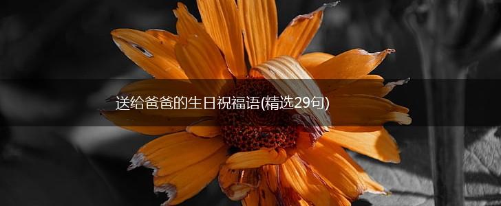 送给爸爸的生日祝福语(精选29句),第1张