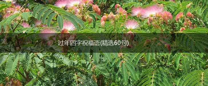 过年四字祝福语(精选60句),第1张