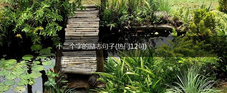 十二个字的励志句子(热门12句),第1张
