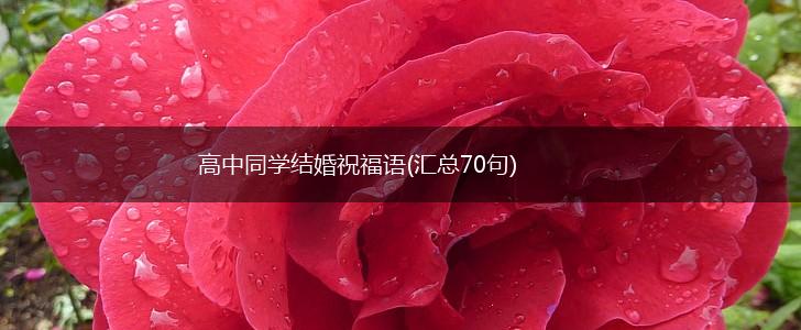 高中同学结婚祝福语(汇总70句),第1张