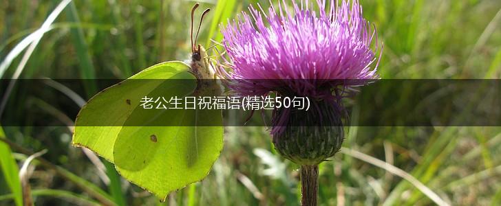 老公生日祝福语(精选50句),第1张