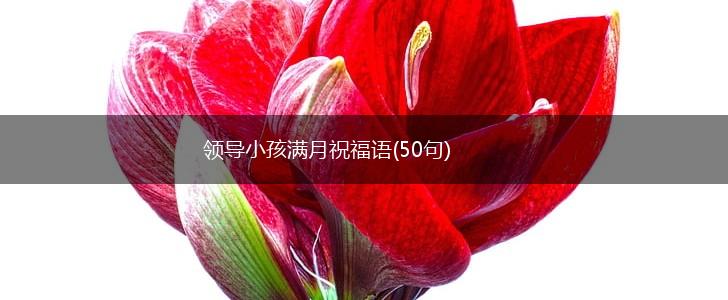 领导小孩满月祝福语(50句),第1张