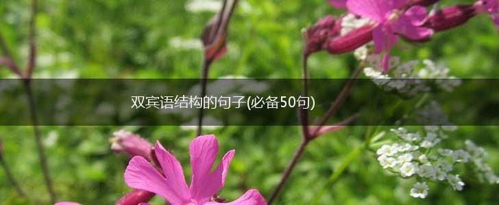 双宾语结构的句子(必备50句),第1张