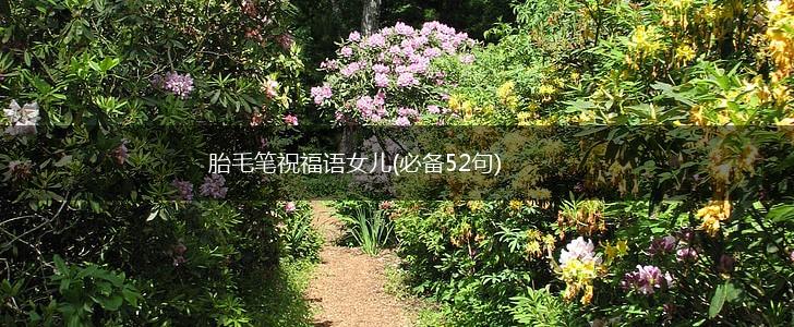 胎毛笔祝福语女儿(必备52句),第1张