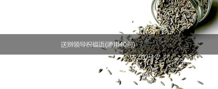 送别领导祝福语(通用40句),第1张