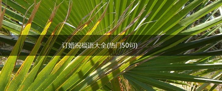 订婚祝福语大全(热门50句),第1张