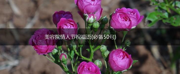 美容院情人节祝福语(必备50句),第1张 美容院情人节祝福语(必备50句),第1张