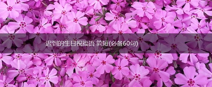迟到的生日祝福语 简短(必备60句),第1张 迟到的生日祝福语 简短(必备60句),第1张