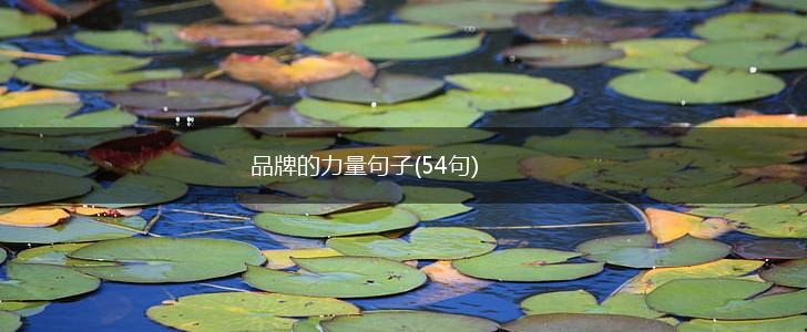 品牌的力量句子(54句),第1张