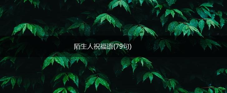 陌生人祝福语(79句),第1张