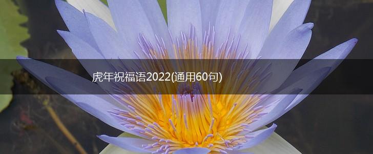 虎年祝福语2022(通用60句),第1张