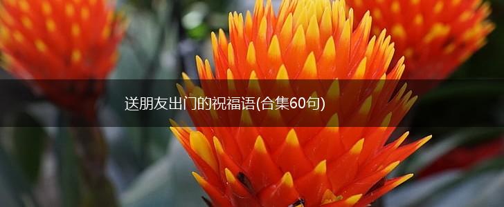 送朋友出门的祝福语(合集60句),第1张
