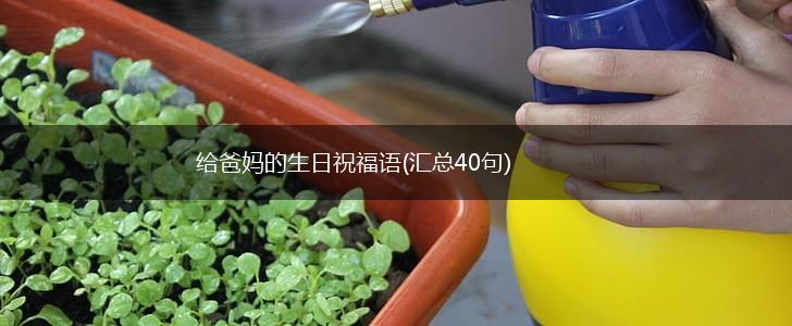 给爸妈的生日祝福语(汇总40句),第1张