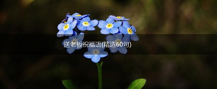 送老板祝福语(精选60句),第1张 送老板祝福语(精选60句),第1张