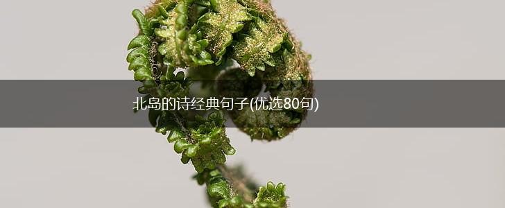 北岛的诗经典句子(优选80句),第1张