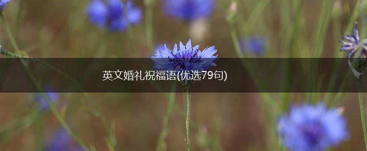 英文婚礼祝福语(优选79句),第1张