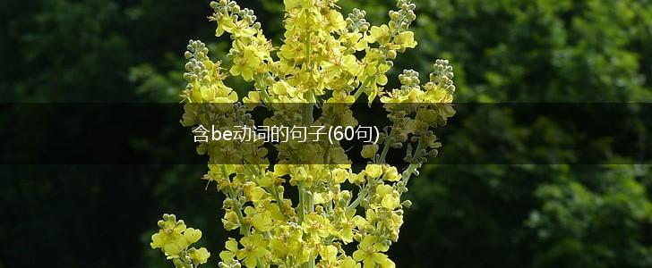 含be动词的句子(60句),第1张