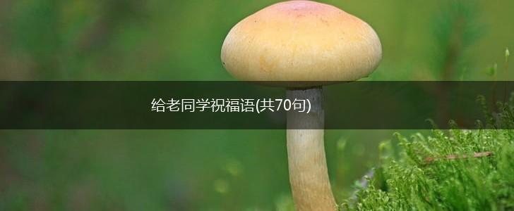 给老同学祝福语(共70句),第1张