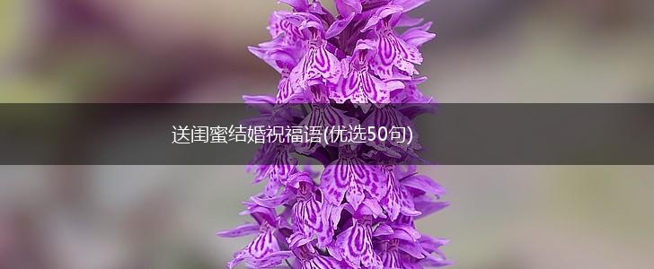 送闺蜜结婚祝福语(优选50句),第1张