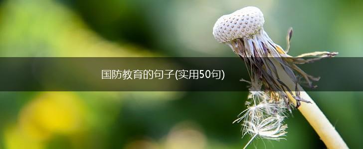 国防教育的句子(实用50句),第1张
