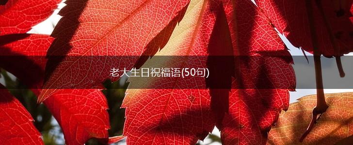老大生日祝福语(50句),第1张 老大生日祝福语(50句),第1张