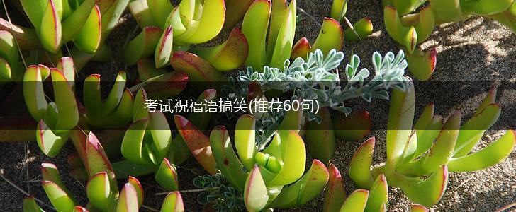 考试祝福语搞笑(推荐60句),第1张