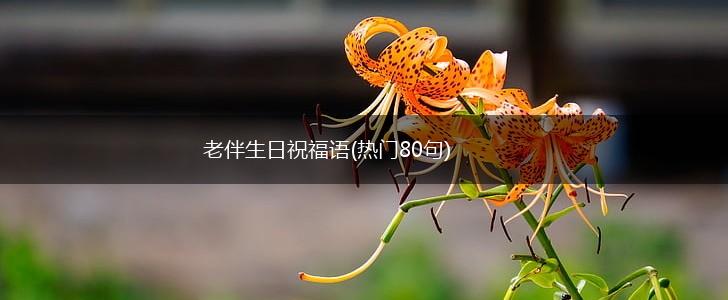老伴生日祝福语(热门80句),第1张