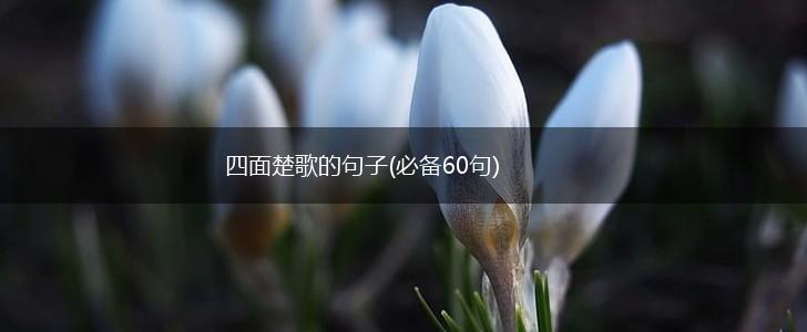 四面楚歌的句子(必备60句),第1张