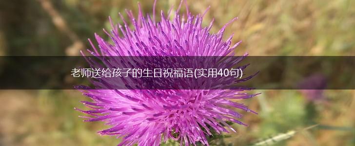 老师送给孩子的生日祝福语(实用40句),第1张