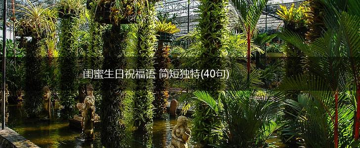 闺蜜生日祝福语 简短独特(40句),第1张 闺蜜生日祝福语 简短独特(40句),第1张