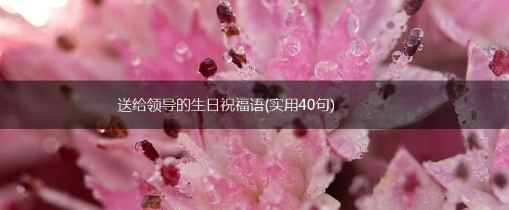 送给领导的生日祝福语(实用40句),第1张 送给领导的生日祝福语(实用40句),第1张