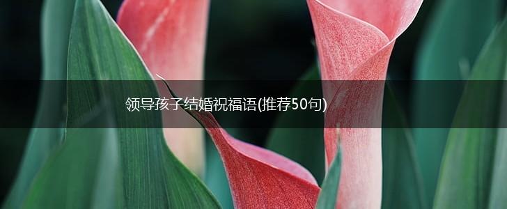 领导孩子结婚祝福语(推荐50句),第1张