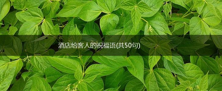 酒店给客人的祝福语(共50句),第1张