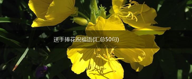送手捧花祝福语(汇总50句),第1张