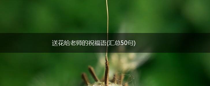 送花给老师的祝福语(汇总50句),第1张 送花给老师的祝福语(汇总50句),第1张