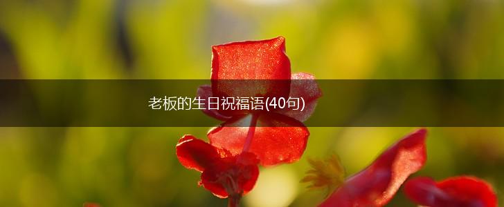 老板的生日祝福语(40句),第1张