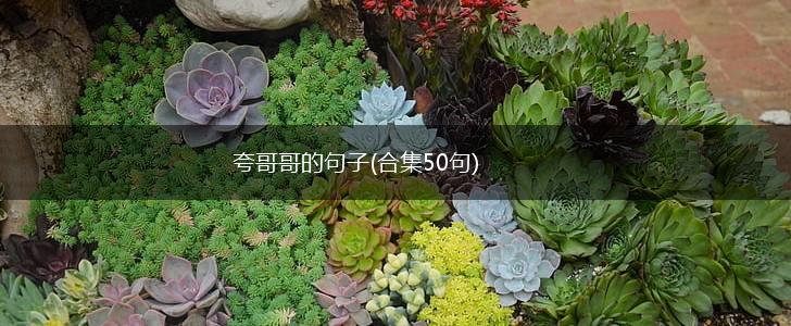 夸哥哥的句子(合集50句),第1张