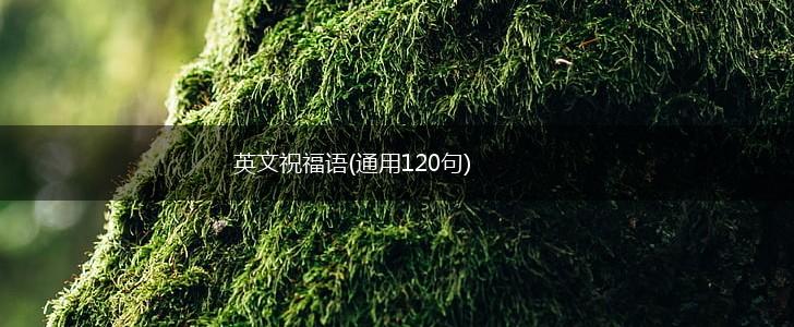 英文祝福语(通用120句),第1张