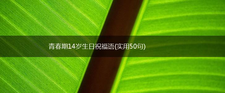青春期14岁生日祝福语(实用50句),第1张