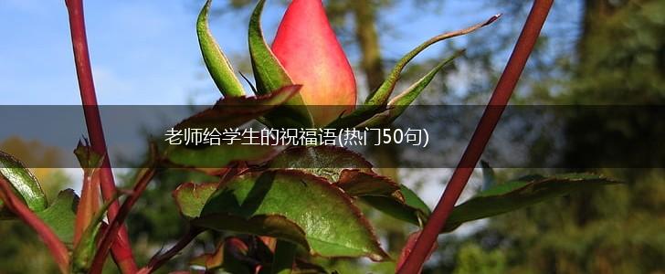 老师给学生的祝福语(热门50句),第1张