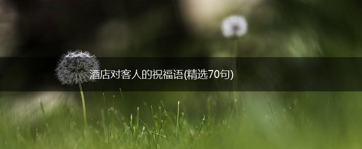 酒店对客人的祝福语(精选70句),第1张
