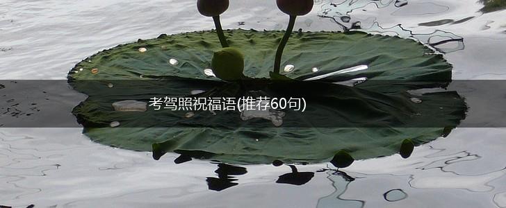 考驾照祝福语(推荐60句),第1张