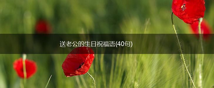送老公的生日祝福语(40句),第1张