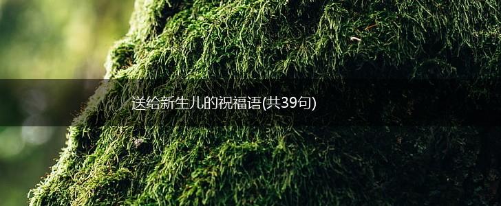 送给新生儿的祝福语(共39句),第1张