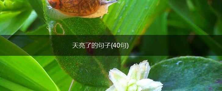 天亮了的句子(40句),第1张
