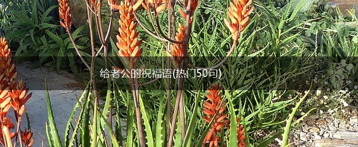 给老公的祝福语(热门50句),第1张