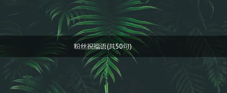 粉丝祝福语(共50句),第1张