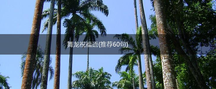 舞龙祝福语(推荐60句),第1张