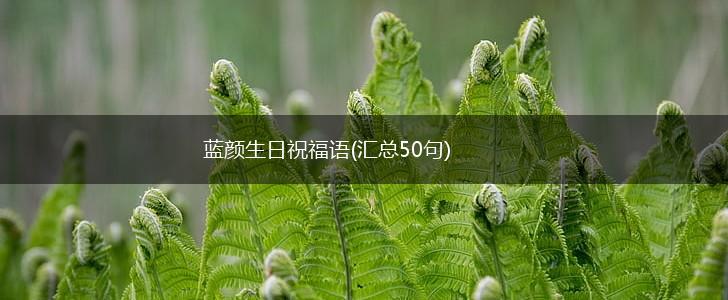 蓝颜生日祝福语(汇总50句),第1张