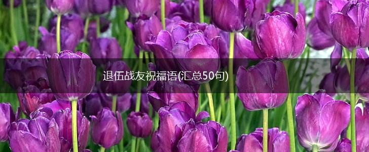 退伍战友祝福语(汇总50句),第1张
